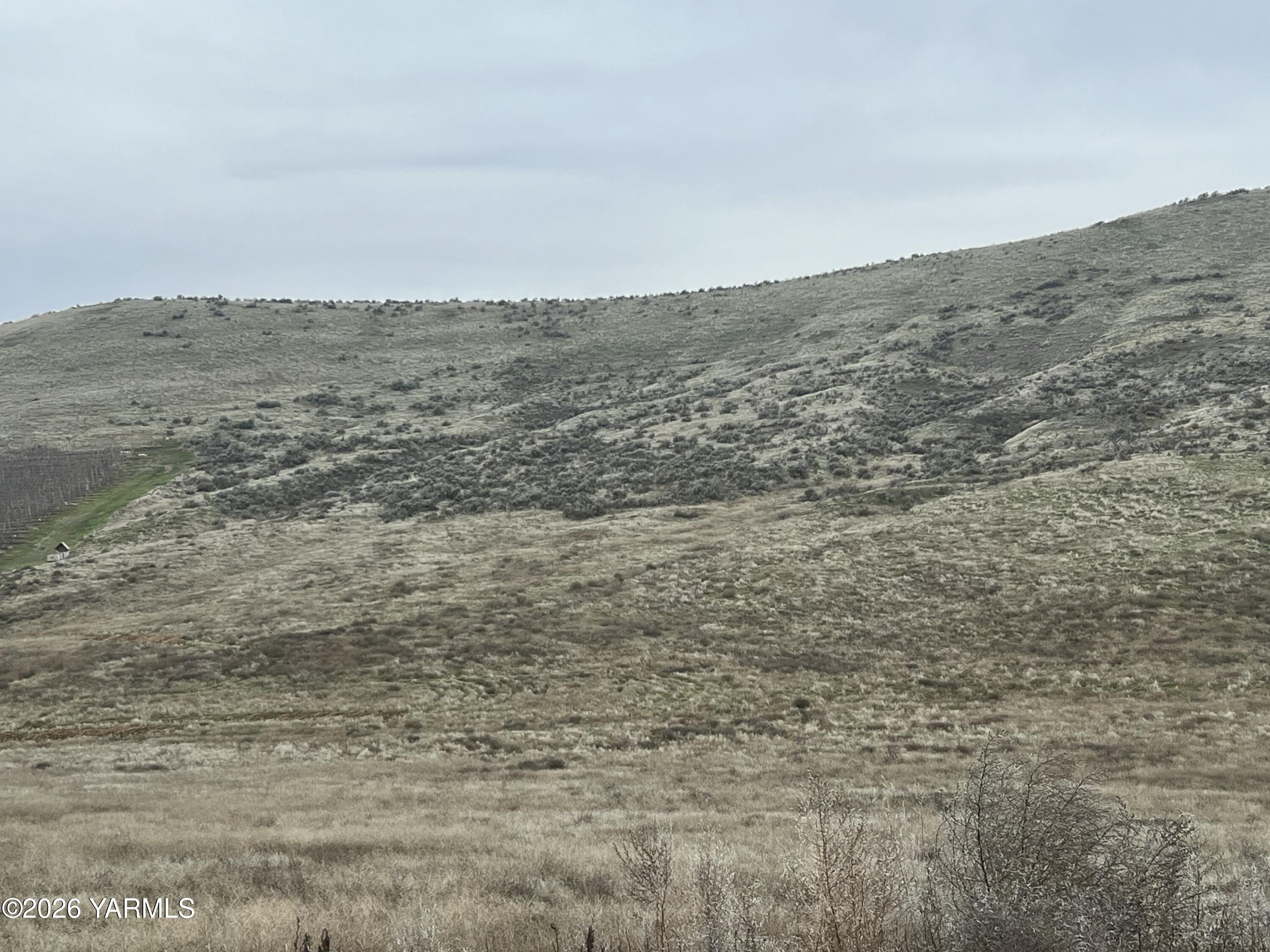 761 Nightingale Road Wapato, WA 98951 - Photo 51 of 51 a view of beach and mountain