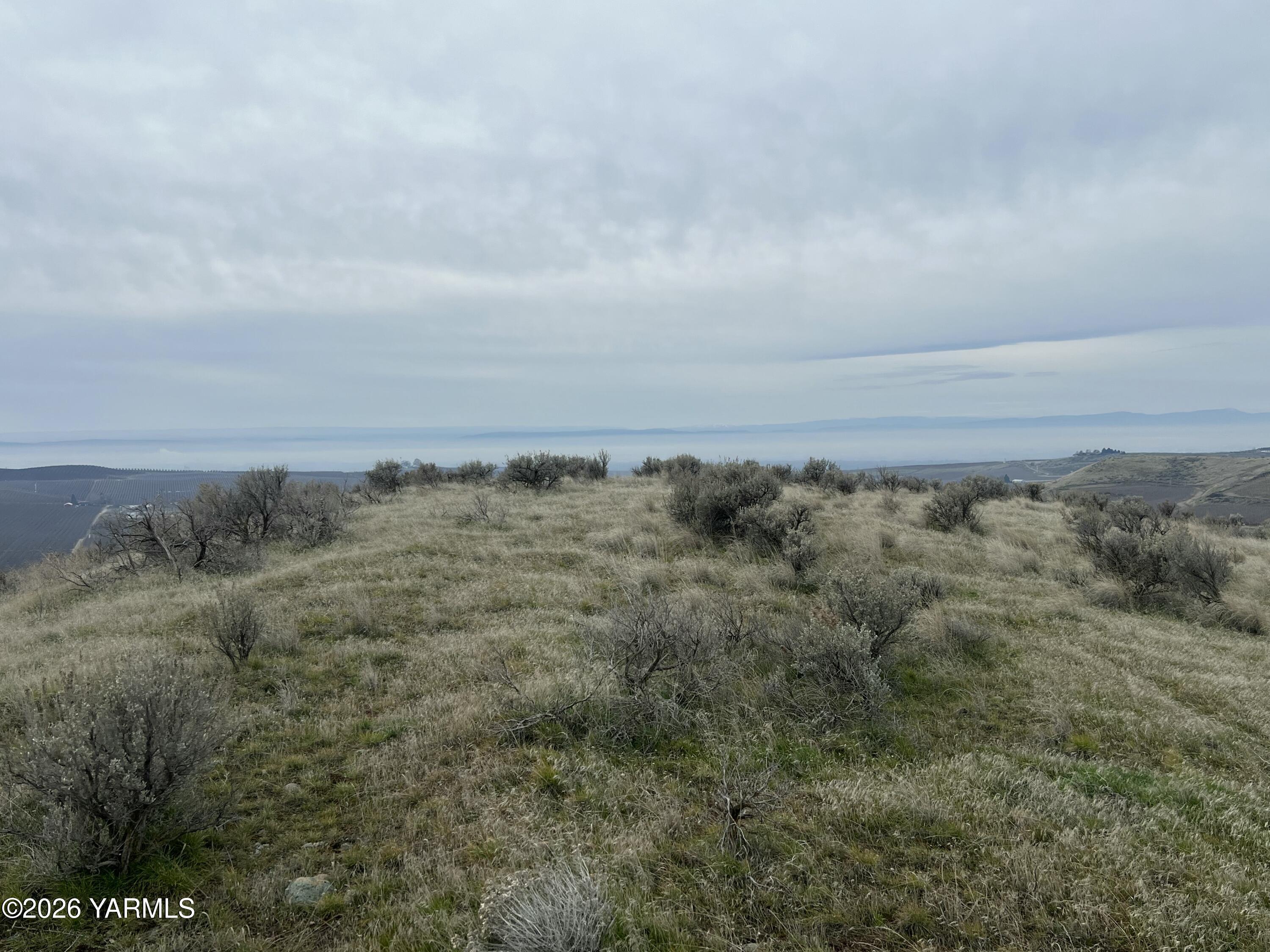 761 Nightingale Road Wapato, WA 98951 - Photo 10 of 51 view of a dry yard with green space