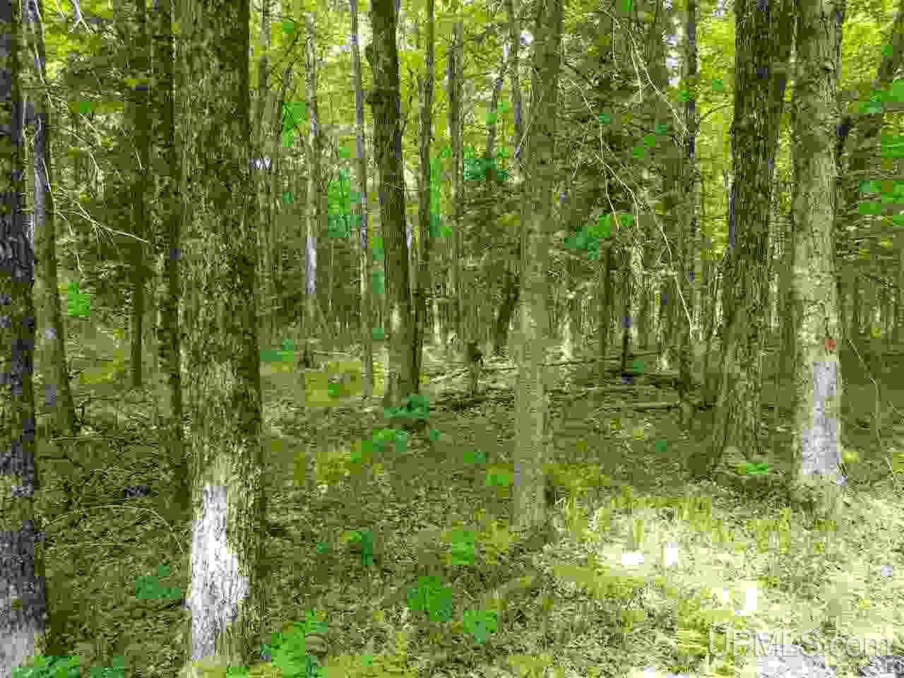 40-ac Parks Farm Road Iron River, MI 49935 - Photo 12 of 20