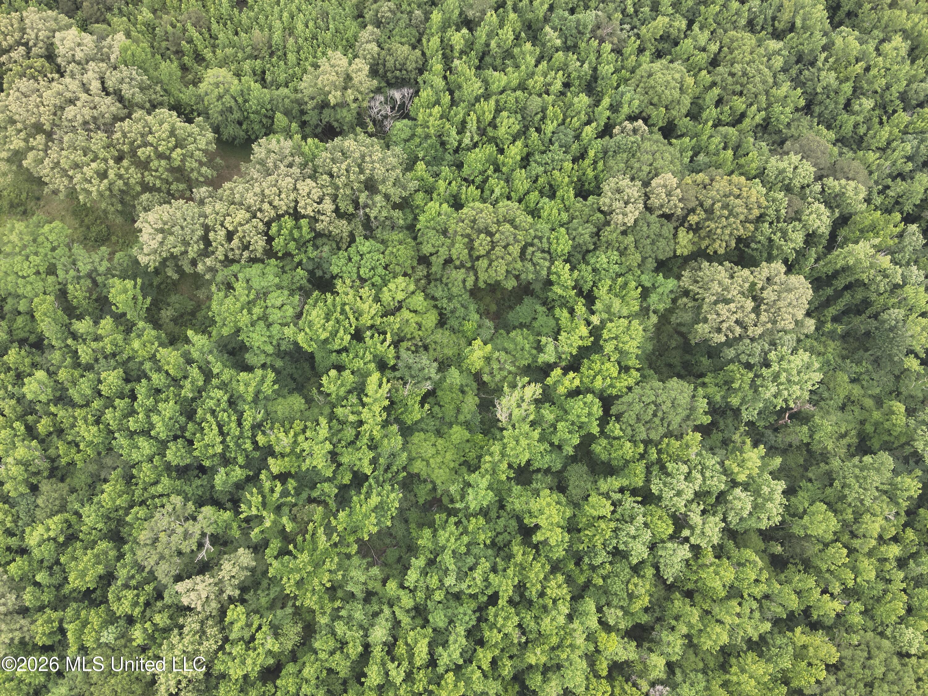 DJI_20260508121415_0016_V