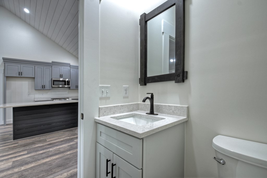 76 Cypress Circle Ellijay, GA 30540 - Photo 18 of 35 a bathroom with a sink a toilet and a mirror