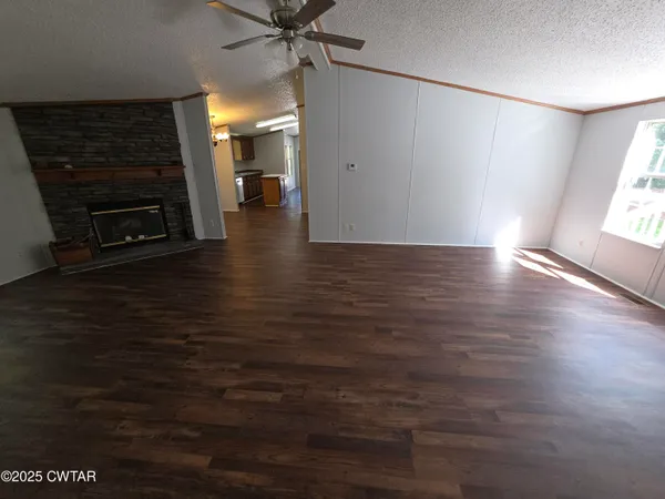 a view of a yard with plants