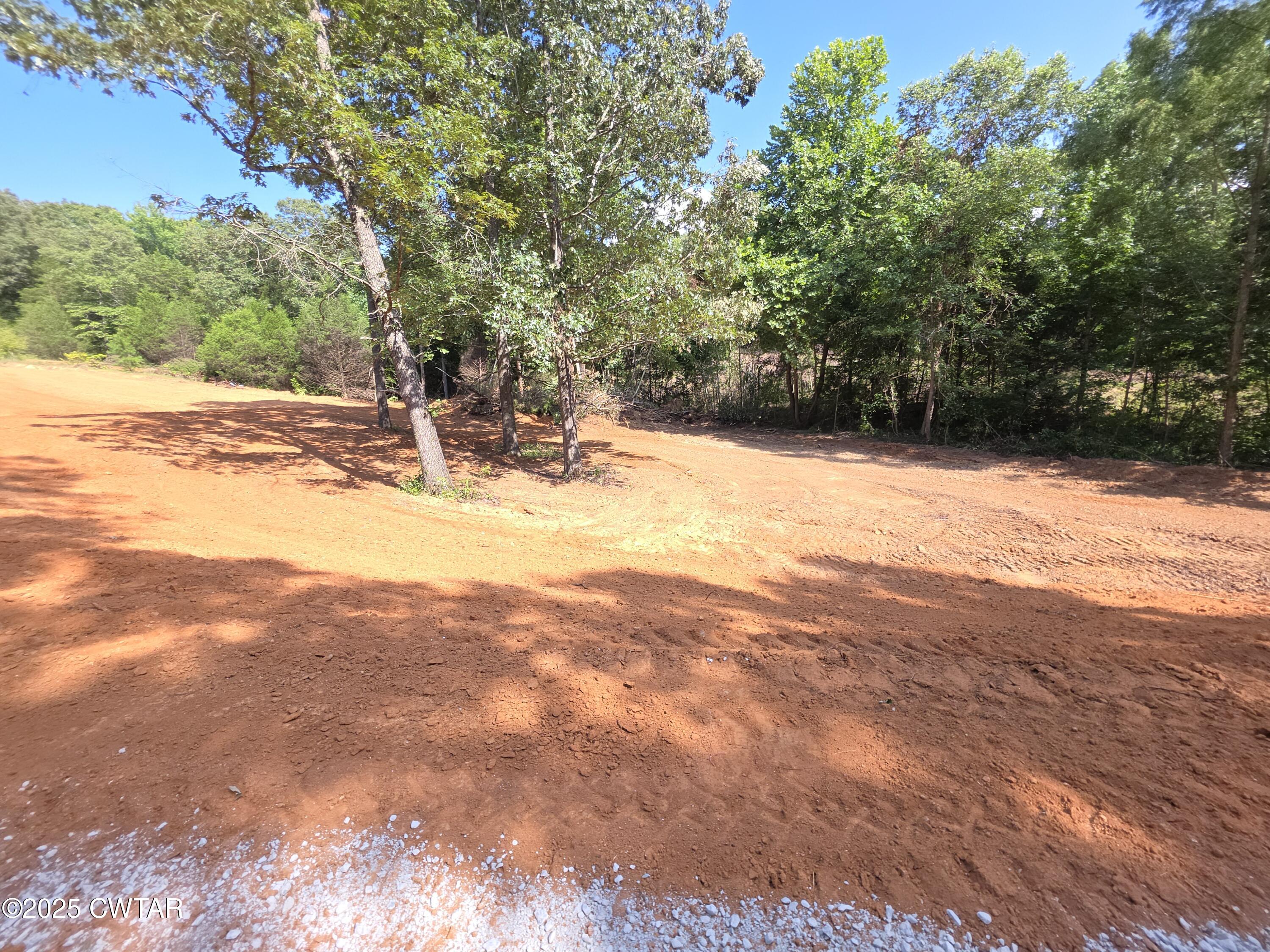 455 Liberty Road Beech Bluff, TN 38313 - Photo 61 of 63 a view of a yard with trees