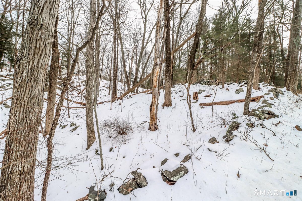 18 Starrs Plain Road Danbury, CT 06810 - Photo 20 of 21 a view of covered with snow