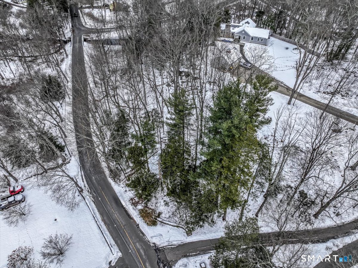 18 Starrs Plain Road Danbury, CT 06810 - Photo 6 of 21 a picture of tree