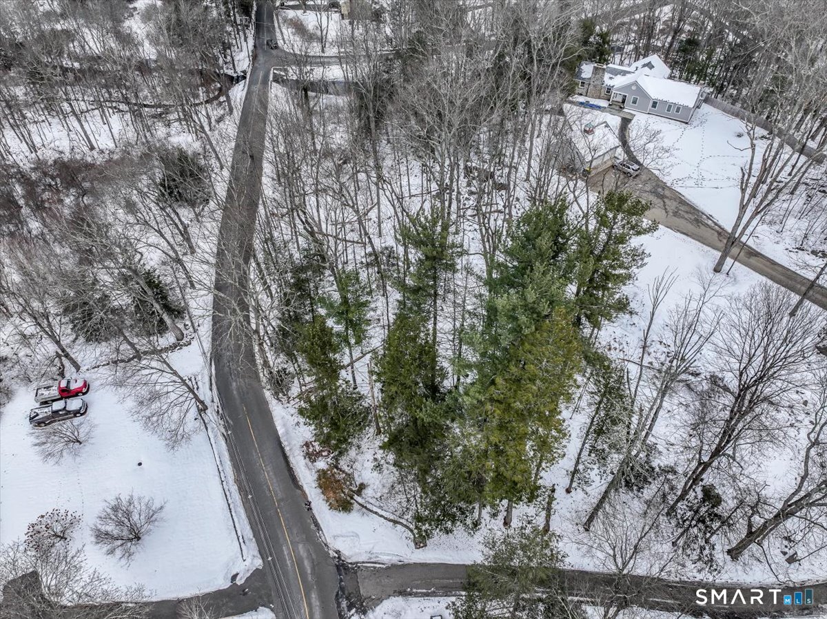 18 Starrs Plain Road Danbury, CT 06810 - Photo 7 of 21 a view of a tree in front of a house