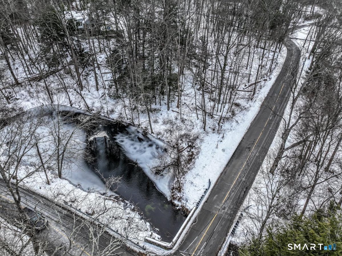 18 Starrs Plain Road Danbury, CT 06810 - Photo 9 of 21 a view of a forest with a snow