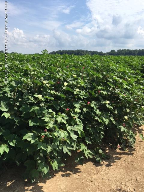 272 Atkinson Road Batesville, MS 38606 - Photo 2 of 9 IMG_1155