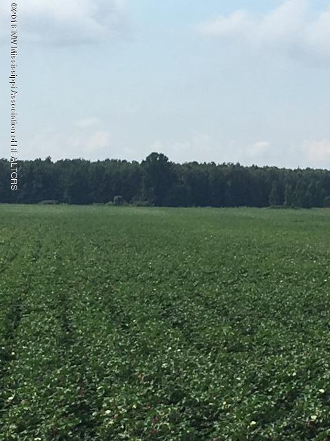 272 Atkinson Road Batesville, MS 38606 - Photo 7 of 9 IMG_1178