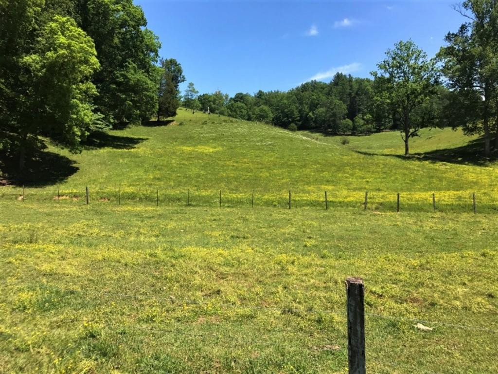 107 Hwy Del Rio Tn 37727 Del Rio, TN 37727 - Photo 21 of 34 Photo 21