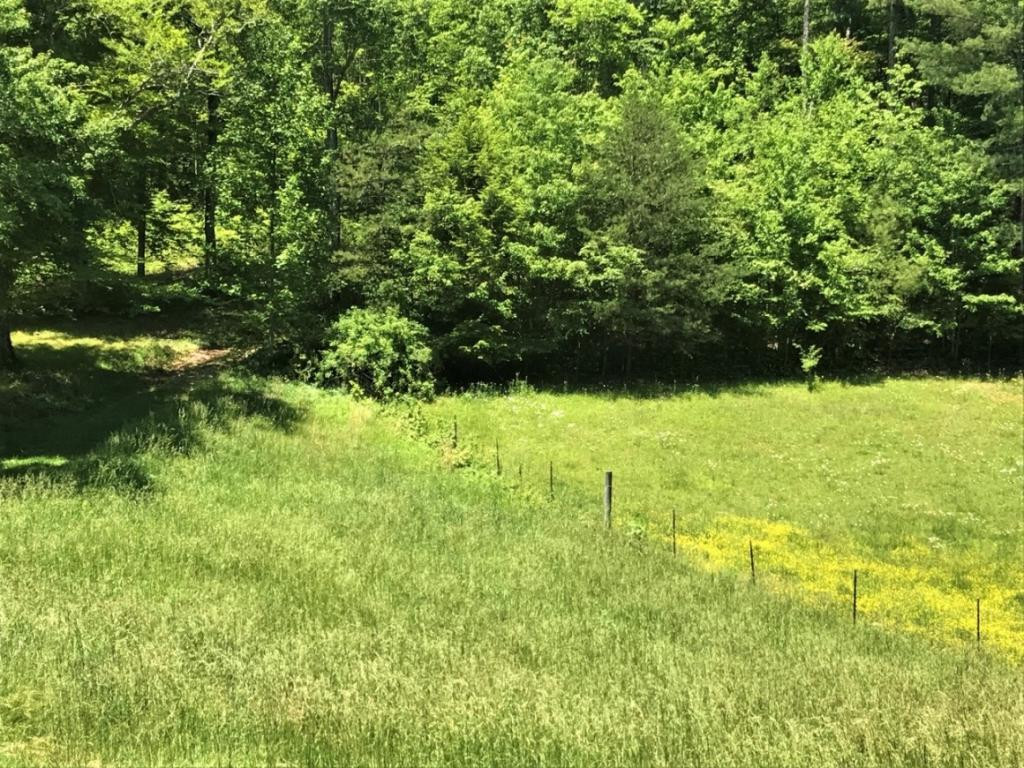 107 Hwy Del Rio Tn 37727 Del Rio, TN 37727 - Photo 33 of 34 Photo 33