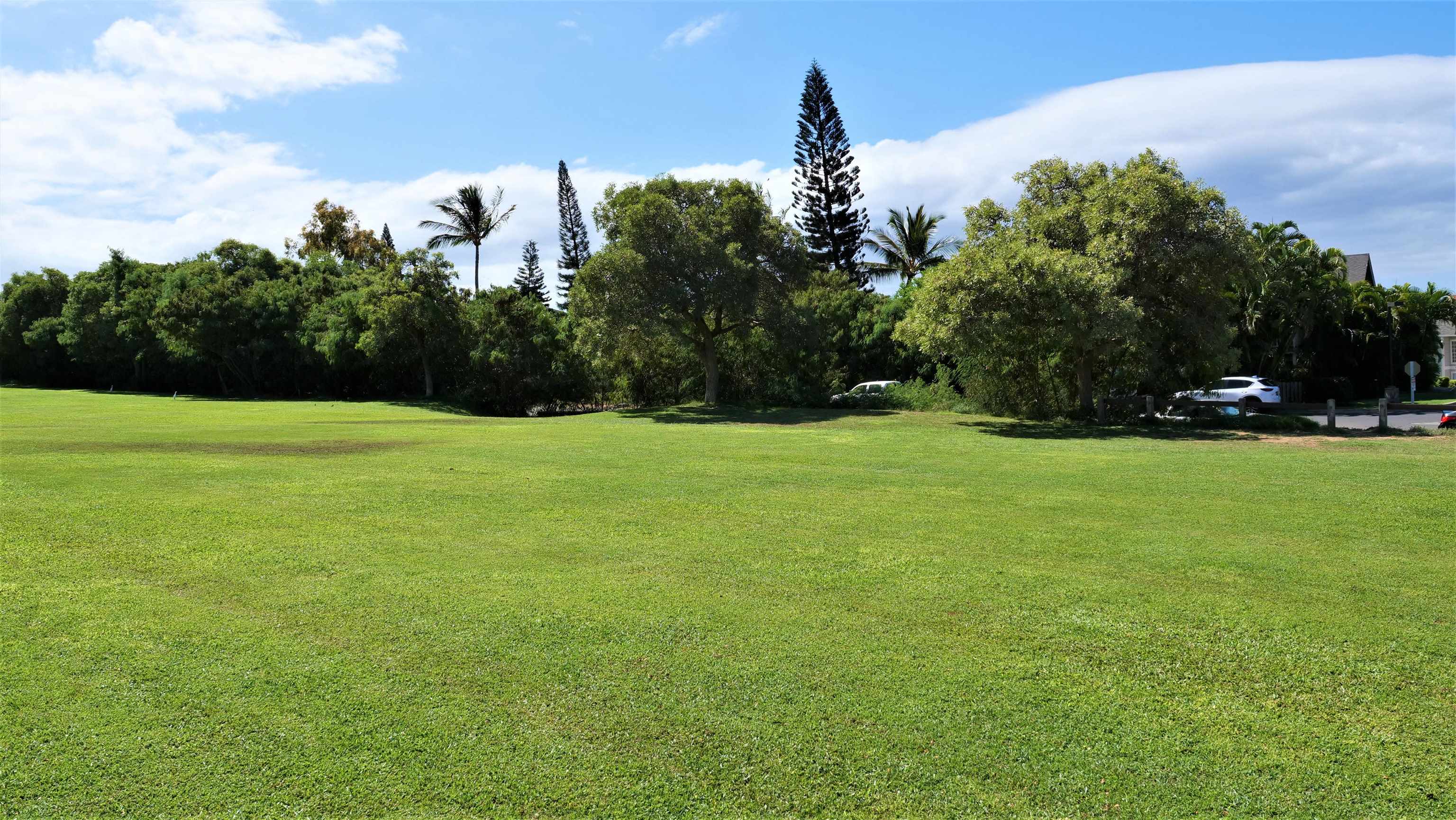 160 Keonekai Road, Unit 18103 Kihei, HI 96753 - Photo 6 of 30 Gallery Image 6