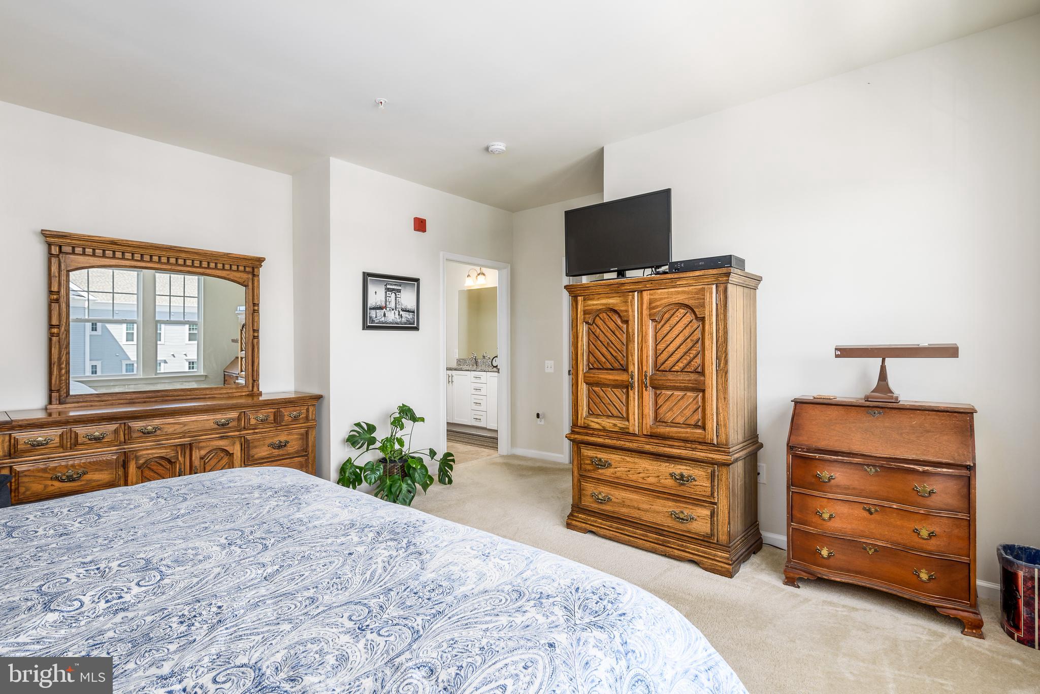 20650 Hope Spring Terrace, Unit 405 Ashburn, VA 20147 - Photo 20 of 34 Master Bedroom