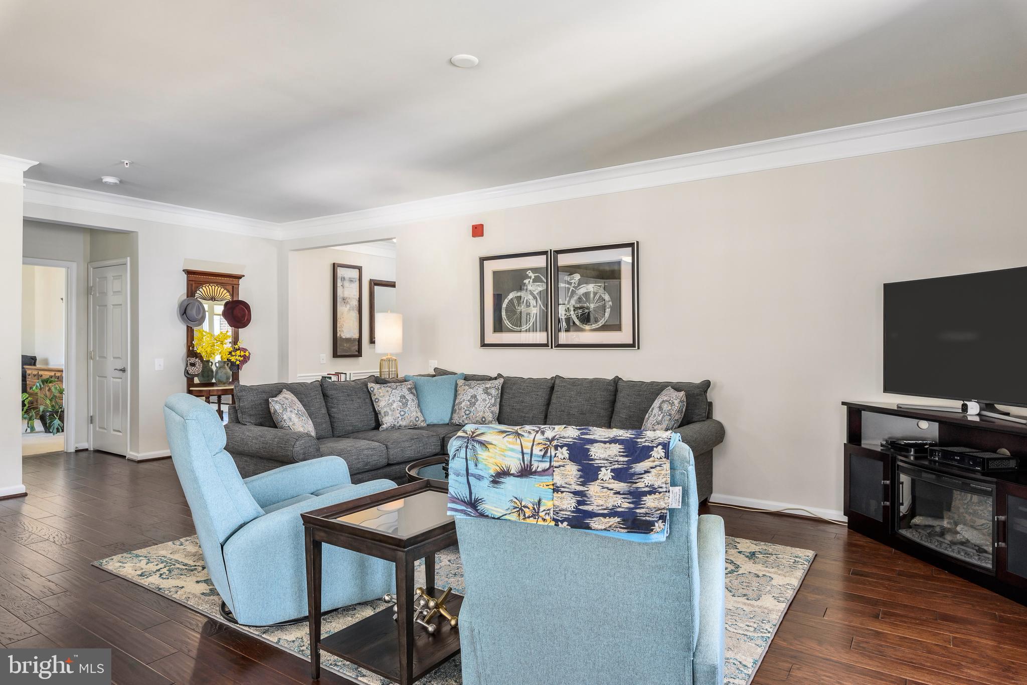 20650 Hope Spring Terrace, Unit 405 Ashburn, VA 20147 - Photo 5 of 34 Family room