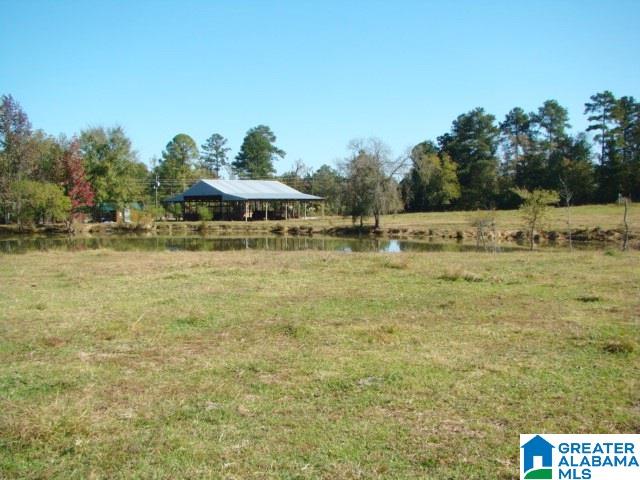 800 Brooks Lake Road Lincoln, AL 35096 - Photo 6 of 33