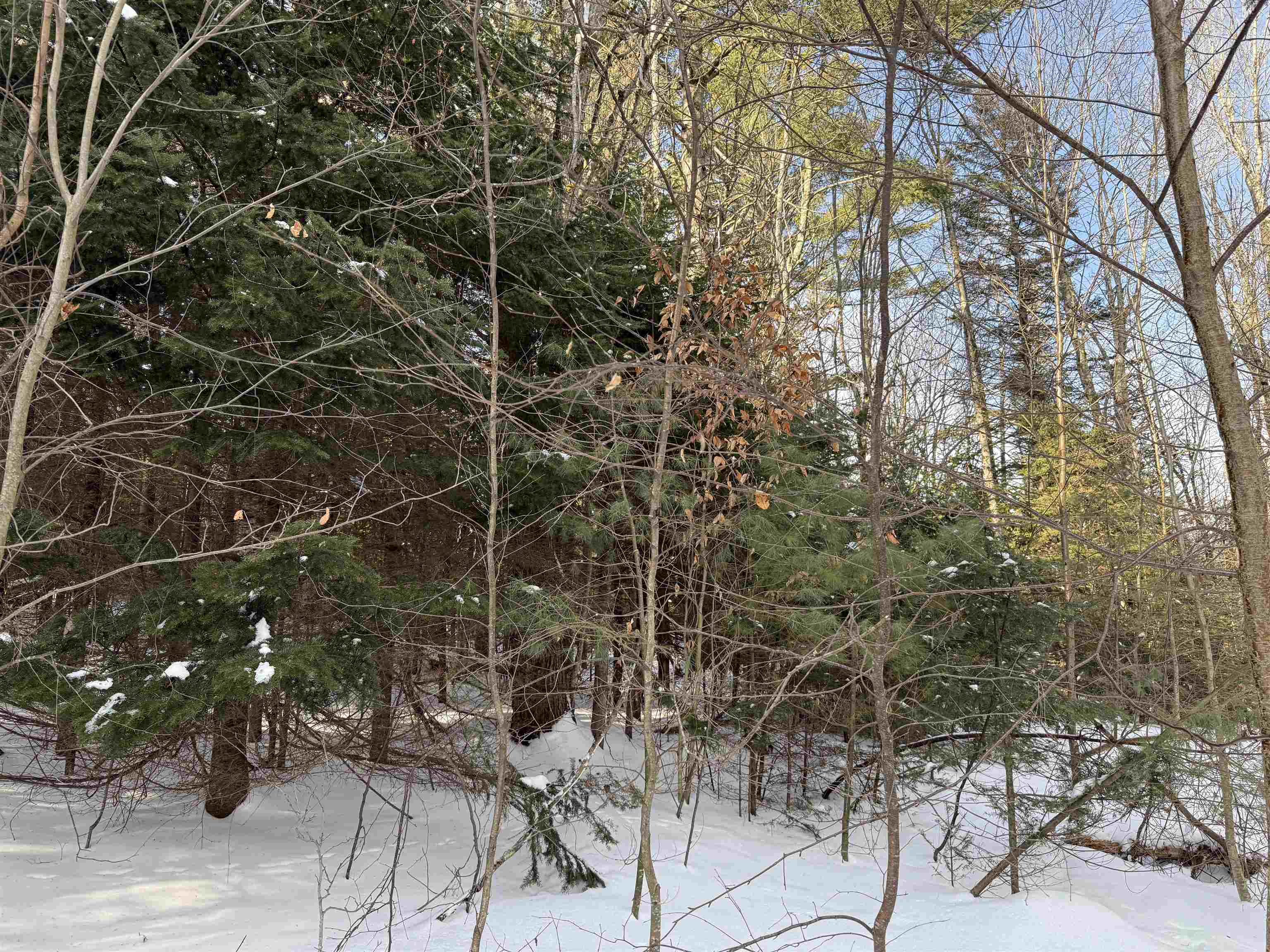 19 Stone Ridge Loop West Dover, VT 05356 - Photo 22 of 27