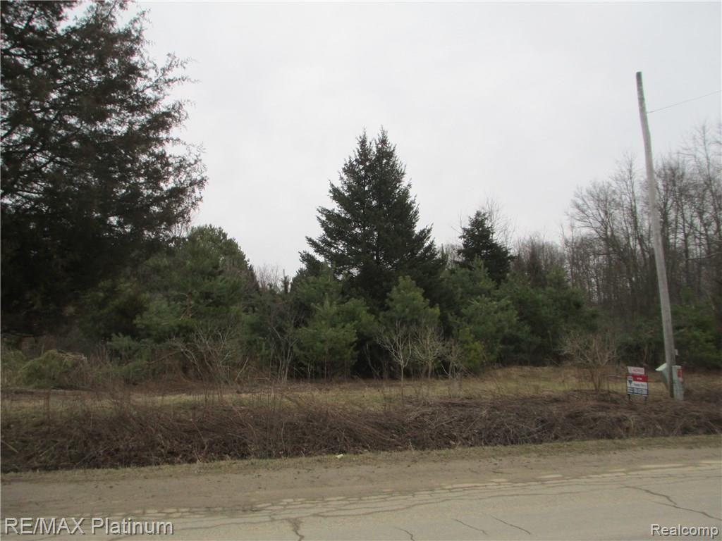 Par B Duffield Road Byron, MI 48418 - Photo 1 of 1