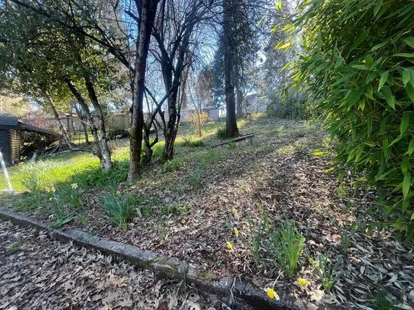 a view of backyard with tree