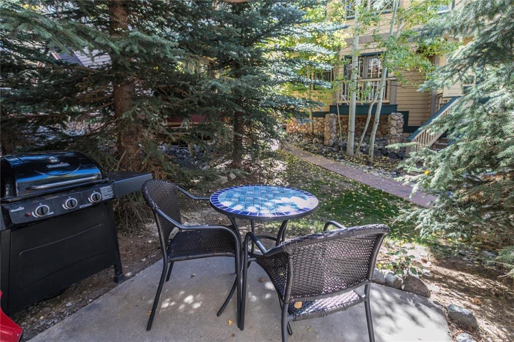 401 South Ridge Street, Unit 2 Breckenridge, CO 80424 - Photo 15 of 24 Gallery Image 15
