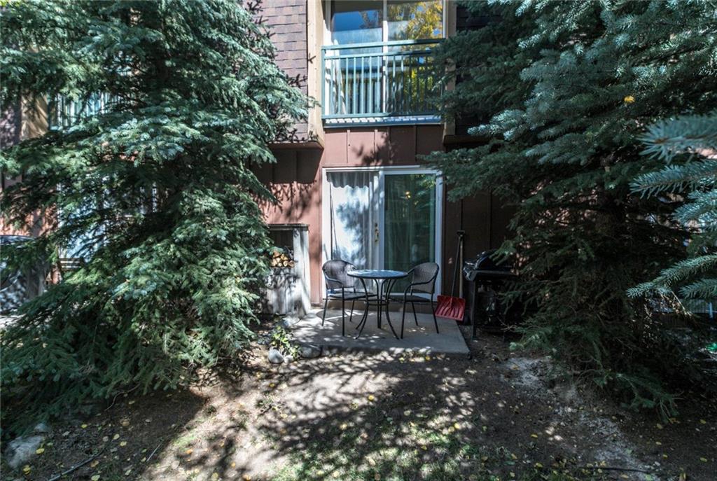 401 South Ridge Street, Unit 2 Breckenridge, CO 80424 - Photo 16 of 24 Gallery Image 16