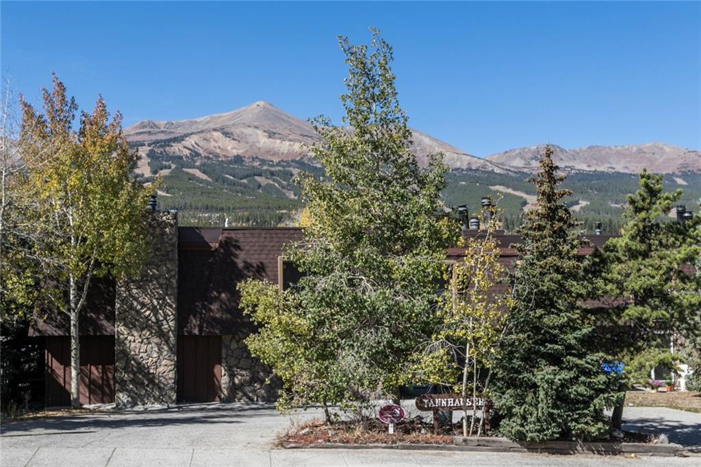 401 South Ridge Street, Unit 2 Breckenridge, CO 80424 - Photo 24 of 24 Gallery Image 24