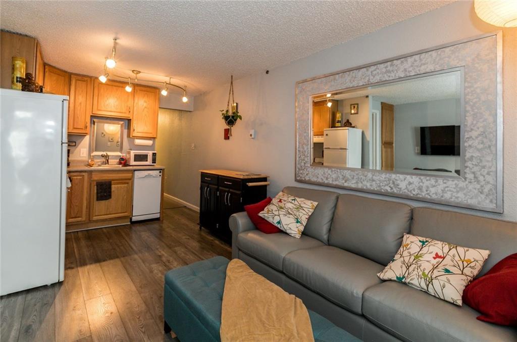 401 South Ridge Street, Unit 2 Breckenridge, CO 80424 - Photo 4 of 24 Gallery Image 4