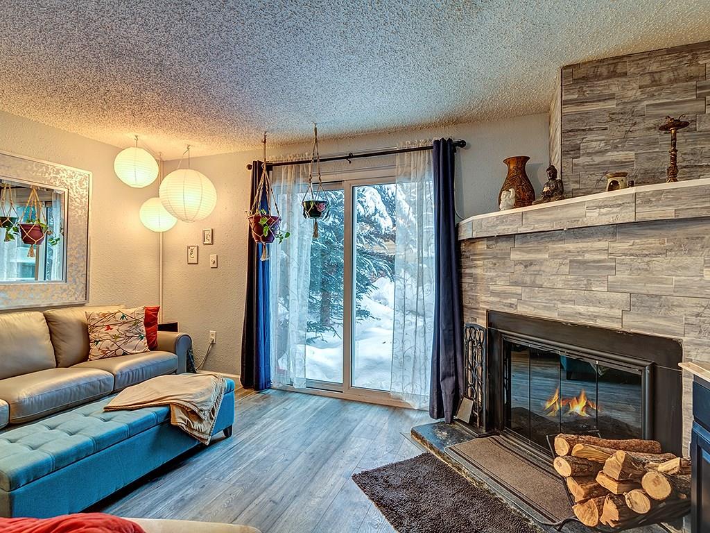 401 South Ridge Street, Unit 2 Breckenridge, CO 80424 - Photo 5 of 24 Gallery Image 5