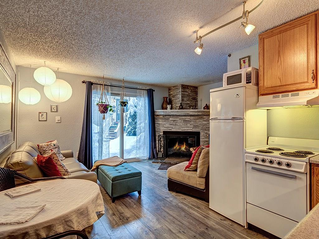401 South Ridge Street, Unit 2 Breckenridge, CO 80424 - Photo 6 of 24 Gallery Image 6
