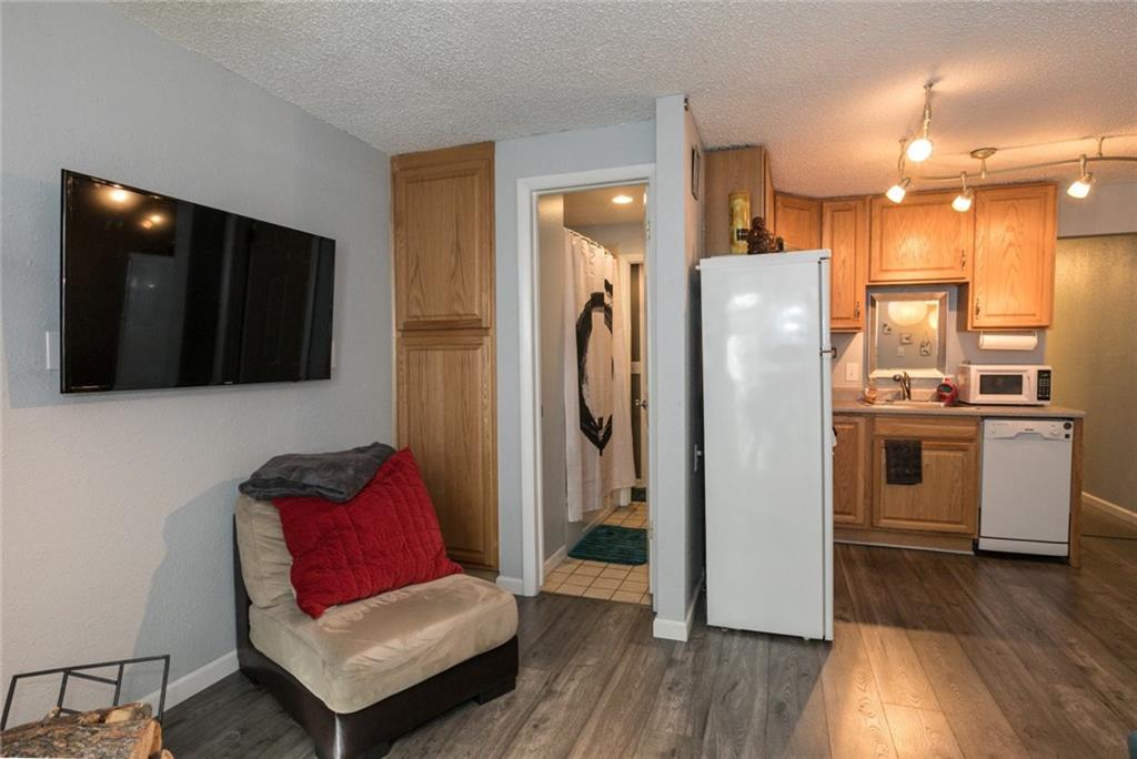401 South Ridge Street, Unit 2 Breckenridge, CO 80424 - Photo 8 of 24 Gallery Image 8