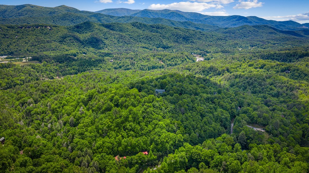 379 Dream Catcher Blue Ridge Blue Ridge, GA 30513 - Photo 14 of 28 a view of a lush green hillside and a houses