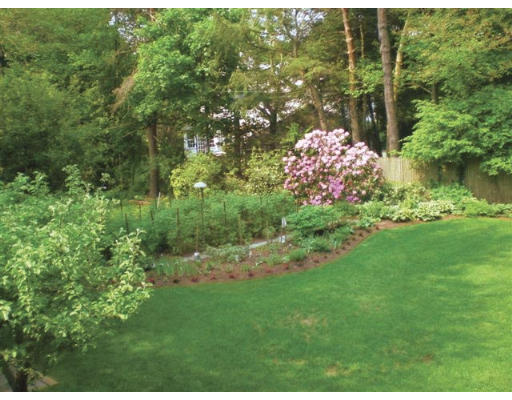165 Paulson Road Newton, MA 02468 - Photo 6 of 7 a backyard of a house with lots of green space