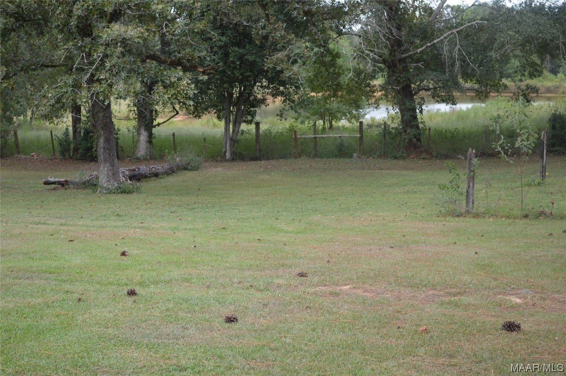 123 Lake Road Chancellor, AL 36316 - Photo 41 of 46 Gallery Image 41