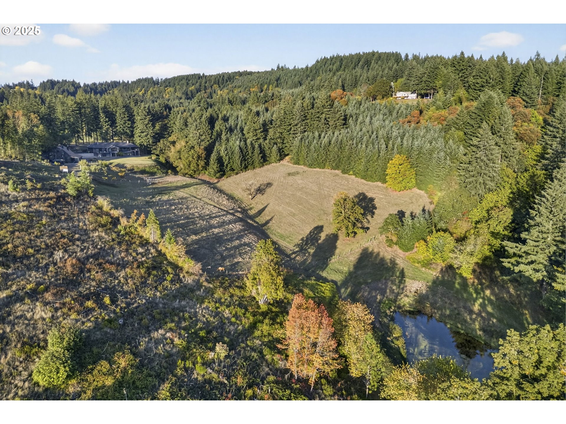 32520 Northeast Corral Creek Road Newberg, OR 97132 - Photo 48 of 48 a view of a lake in middle of the forest