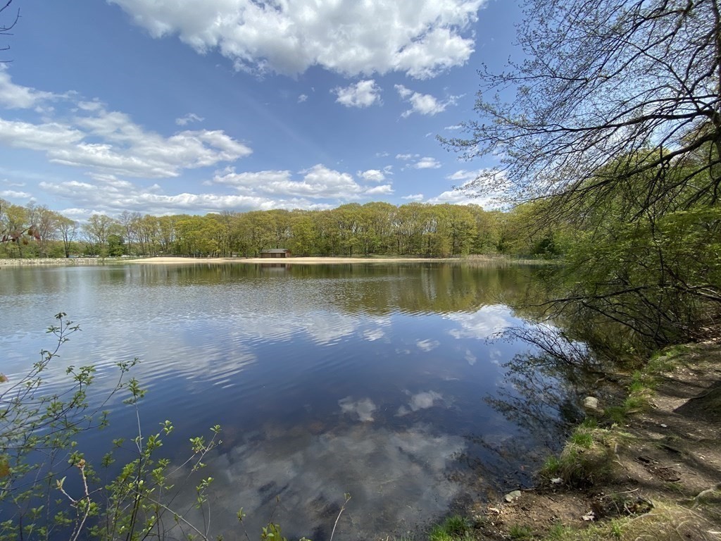 64 Shade Street Lexington, MA 02421 - Photo 30 of 32
