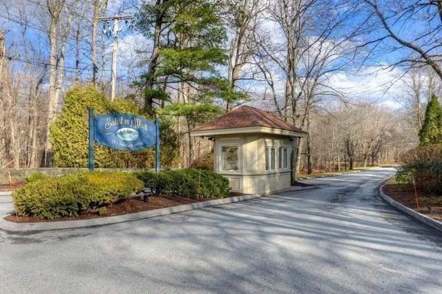 a view of a house with a yard and potted plants