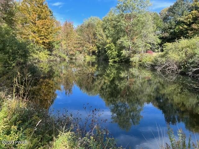 43 Obernburg Road Fremont Center, NY 12736 - Photo 22 of 35 POND