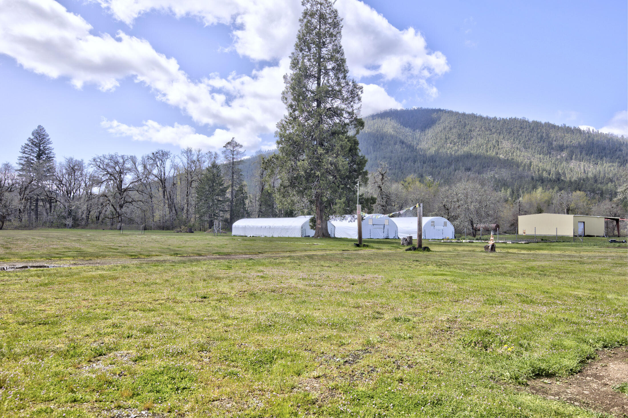 180 Norman Road Selma, OR 97538 - Photo 18 of 46 norman023