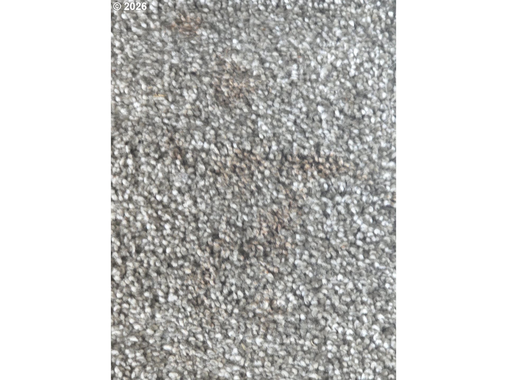 154 Norman Avenue Eugene, OR 97404 - Photo 42 of 44