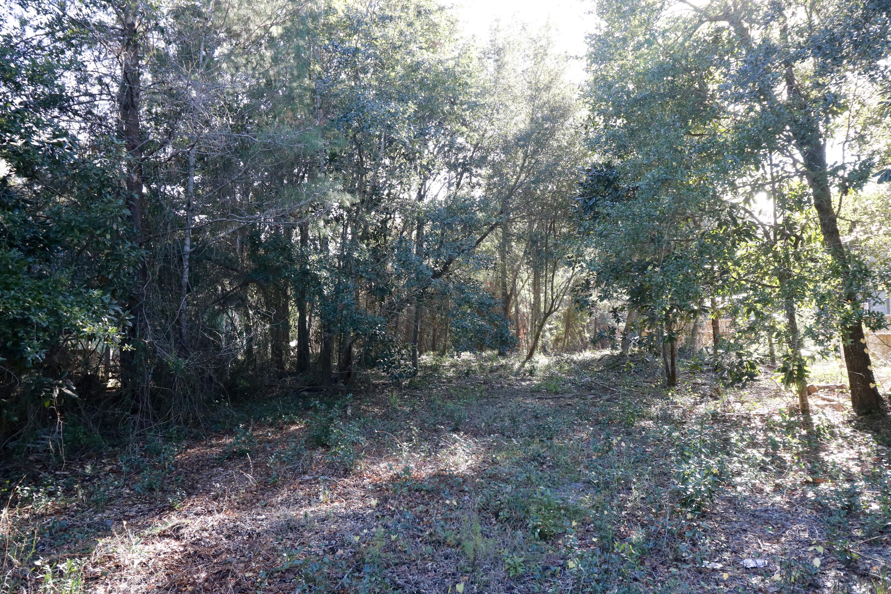 12 Morrison Avenue Santa Rosa Beach, FL 32459 - Photo 1 of 5 IMG_2071