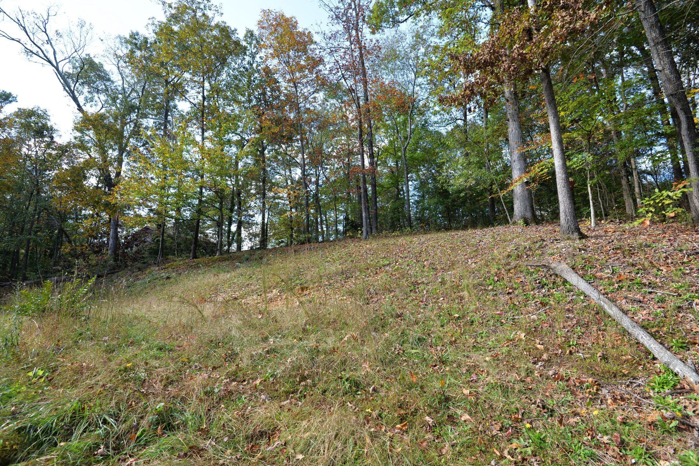 1323 Coffelt Road Hixson, TN 37343 - Photo 35 of 38 20201031012808094886000000-o