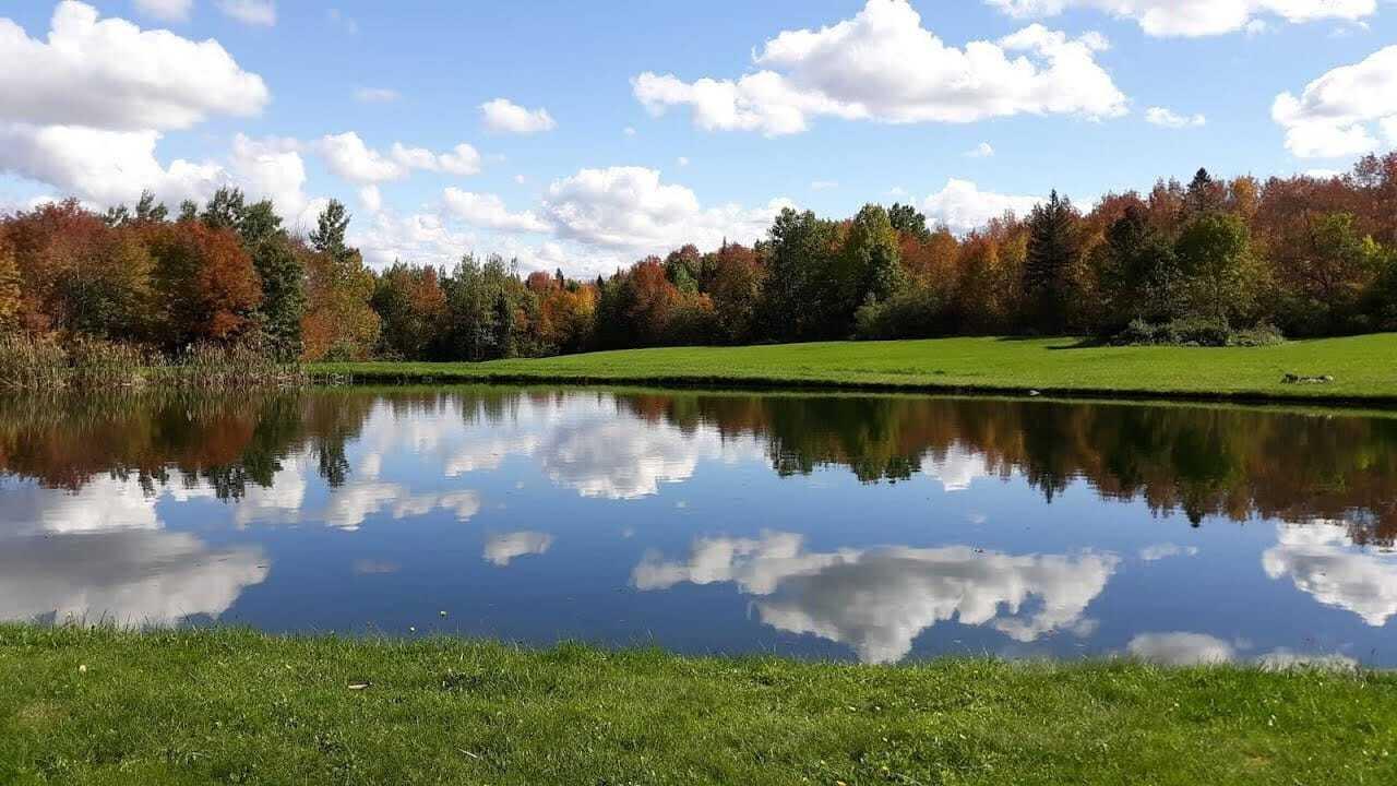 1471 B Road Hammond, ME 04730 - Photo 29 of 30 B-Rd-29