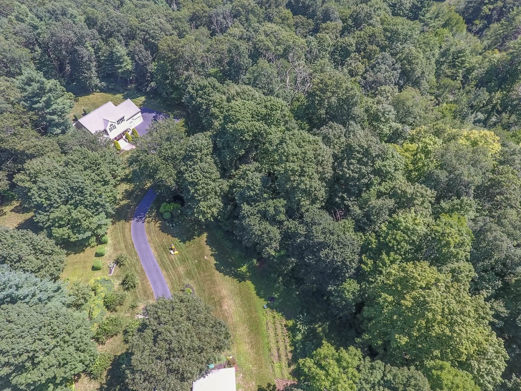 38 Lakeview Road Foxboro, MA 02035 - Photo 33 of 33 Gallery Image 33