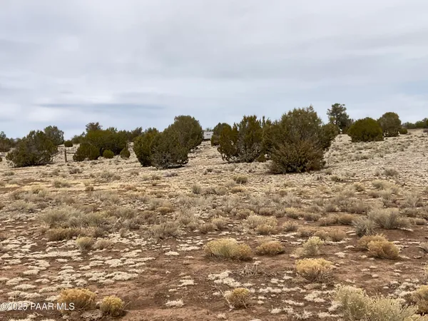 a view of a snow in the middle of a field