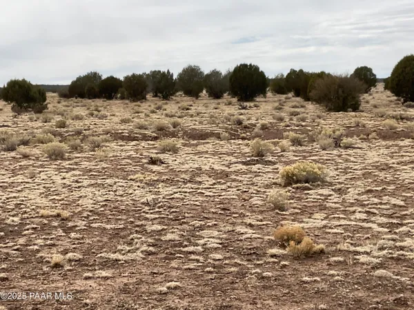 a picture of street view