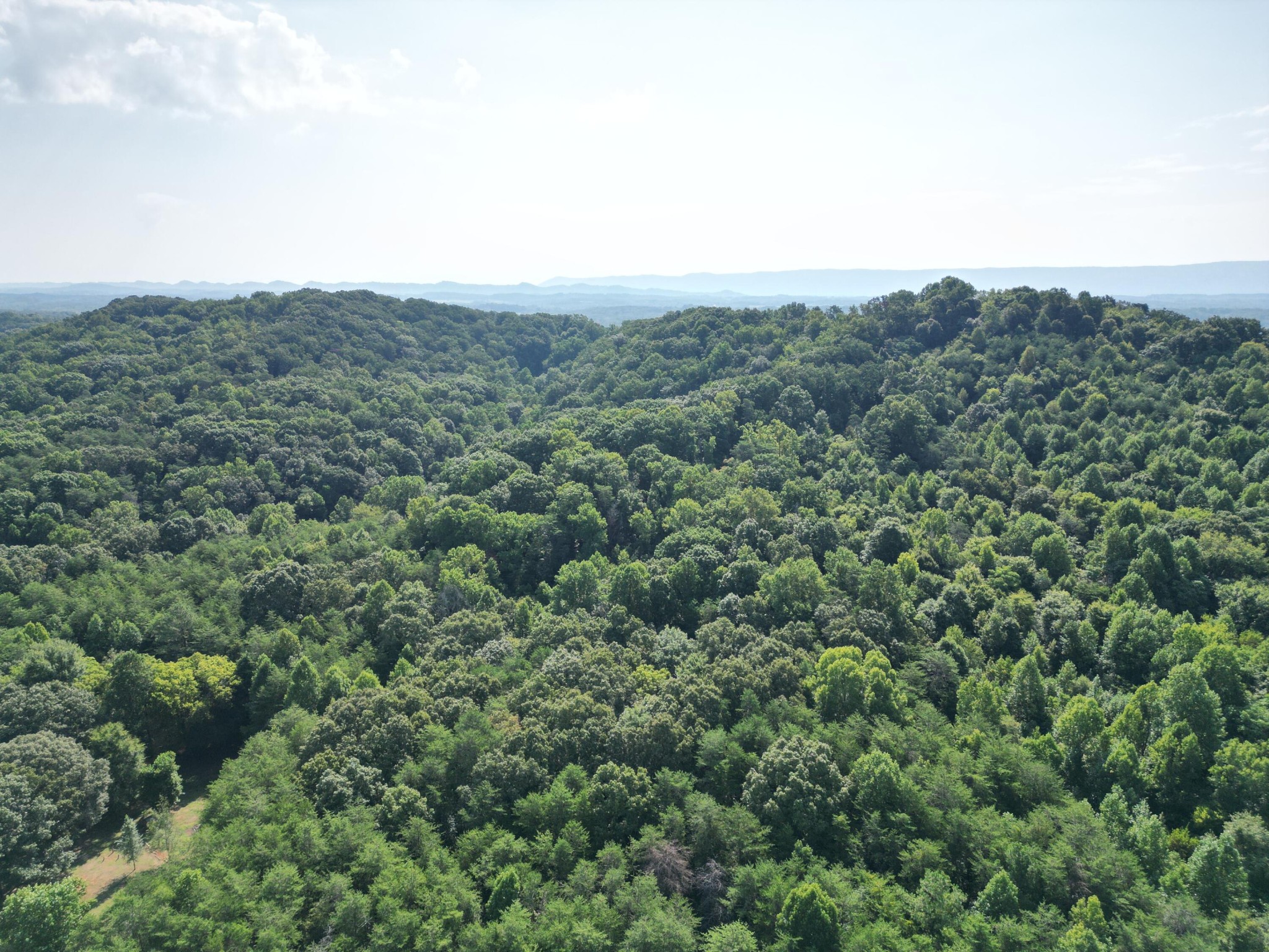 650 County Road 655 Athens, TN 37303 - Photo 6 of 8
