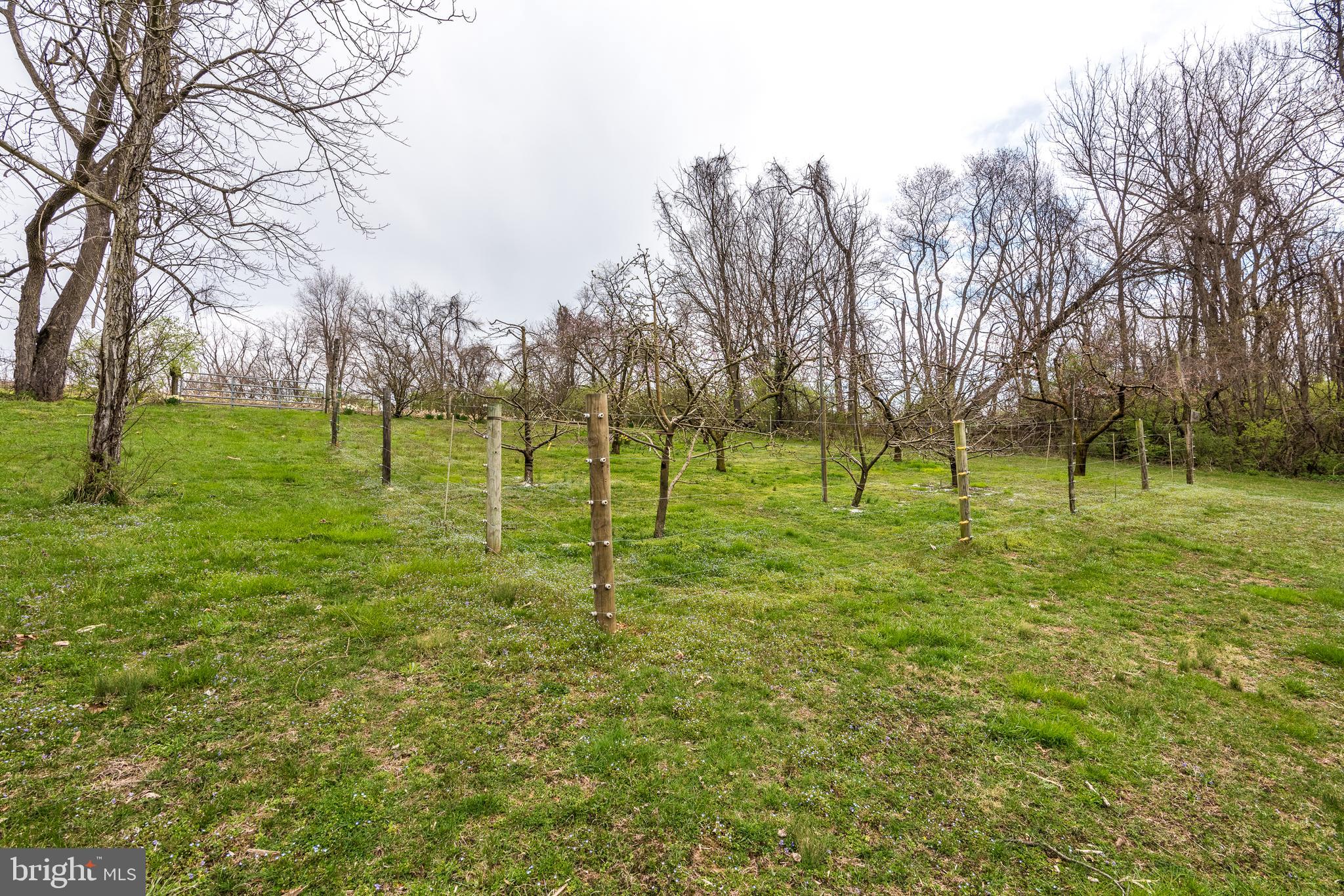 3051 Bryson Road Cochranville, PA 19330 - Photo 58 of 75