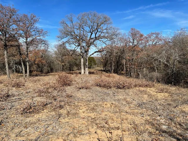 $180,000 | Tbd - Lot 88 Tbd - Court, Graford, TX 76449
