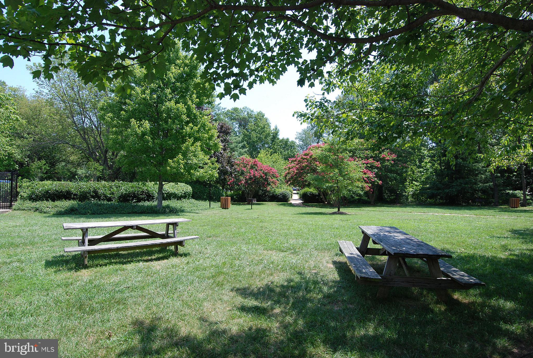 6612 10th Street, Unit B2 Alexandria, VA 22307 - Photo 24 of 26 a view of a park with large trees