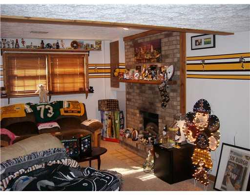 272 Hazel Kirk Road Monongahela, PA 15063 - Photo 9 of 18 Family Room.