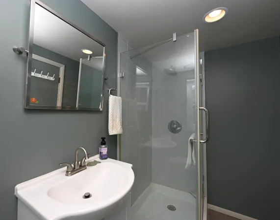 a bathroom with a sink mirror and shower